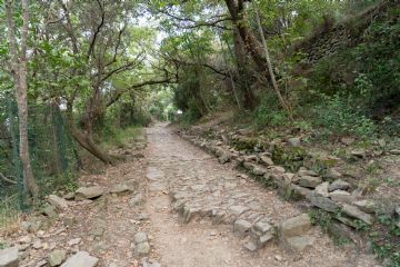 Immagine del selciato della via romana Iulia Augusta - Foto: © Gaia Cambiaggi