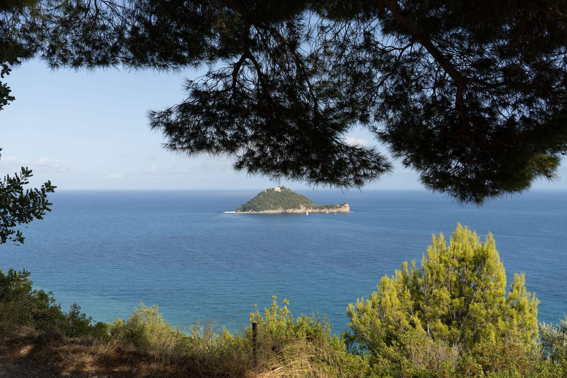 Vista sull'Isola Gallinara